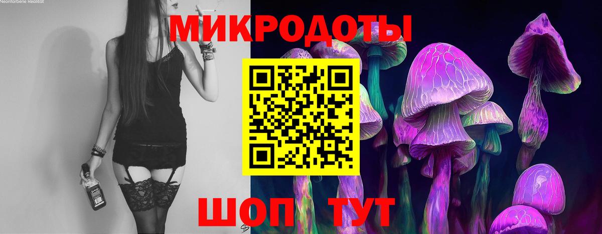 Псилоцибиновые грибы Psilocybe Армавир
